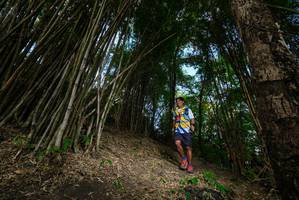 BIB: 
                            <button type="button" onclick="openModal(19396175)" class="btn btn-primary btn-sm float-right btn-popup" data-toggle="modal" data-target=".modal-high-quality">
                        <i class="fas fa-shopping-cart"></i> Add to Cart
                    </button>
                                            <button type="button" onclick="isThisMe(19396175, true)" class="btn btn-success btn-sm float-right btn-popup btn-isme hidden" data-toggle="tooltip" data-placement="bottom" title="นี่คือรูปของคุณใช่ไหม คลิกที่นี่เพื่อเอาเข้าอัลบั้ม">
                        <i class="fas fa-plus"></i> Add to album
                    </button>
                    <button type="button" onclick="isThisMe(19396175, false)" class="btn btn-warning btn-sm float-right btn-popup btn-isnotme hidden">
                        <i class="fas fa-ban"></i> Remove from album
                    </button>